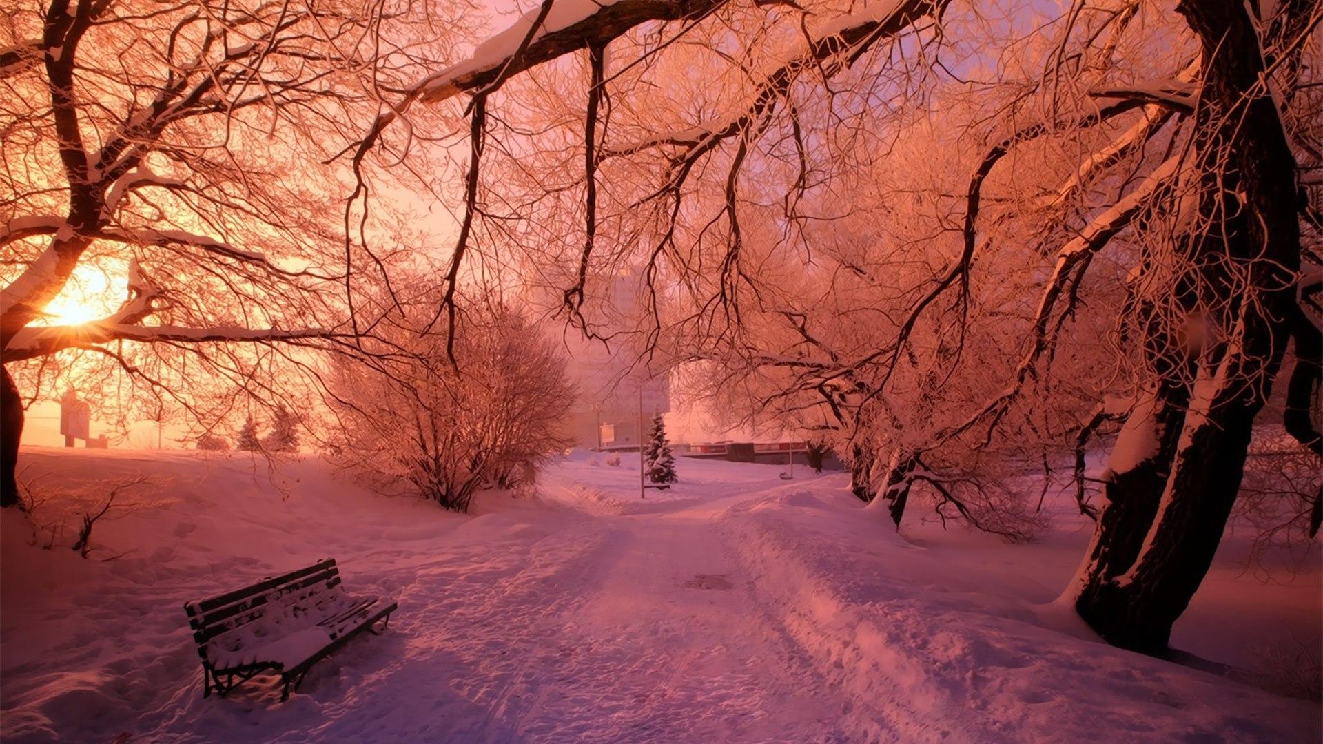 Winter Pink Wallpapers Wallpaper Cave