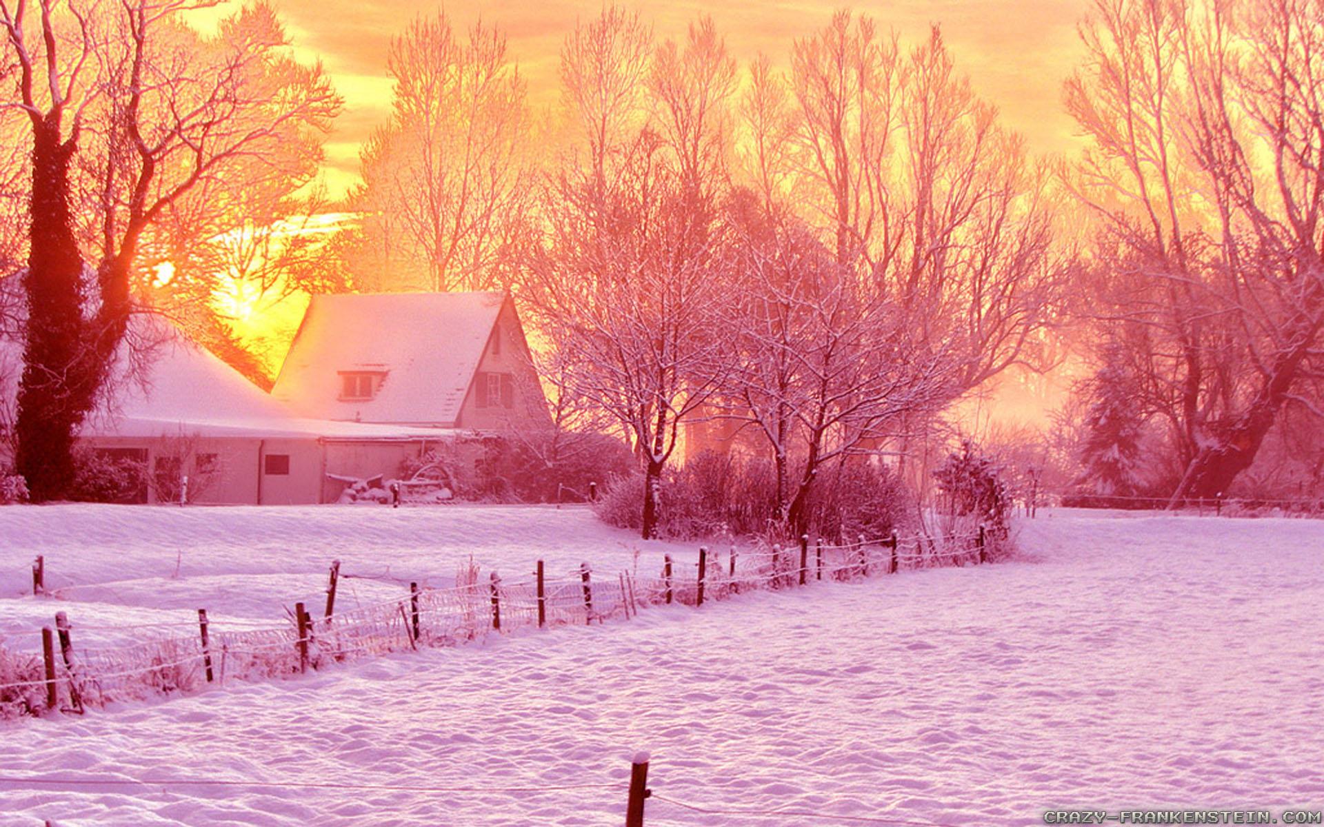 Winter Pink Wallpapers Wallpaper Cave