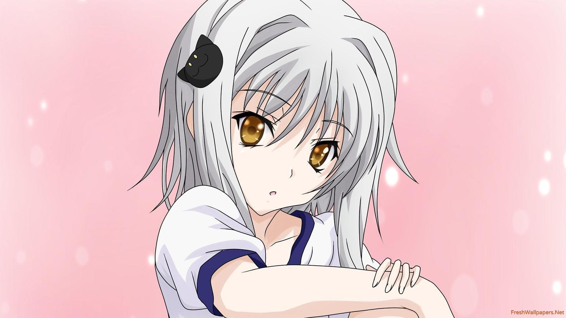 Cute Koneko Anime Girl Wallpapers Wallpaper Cave