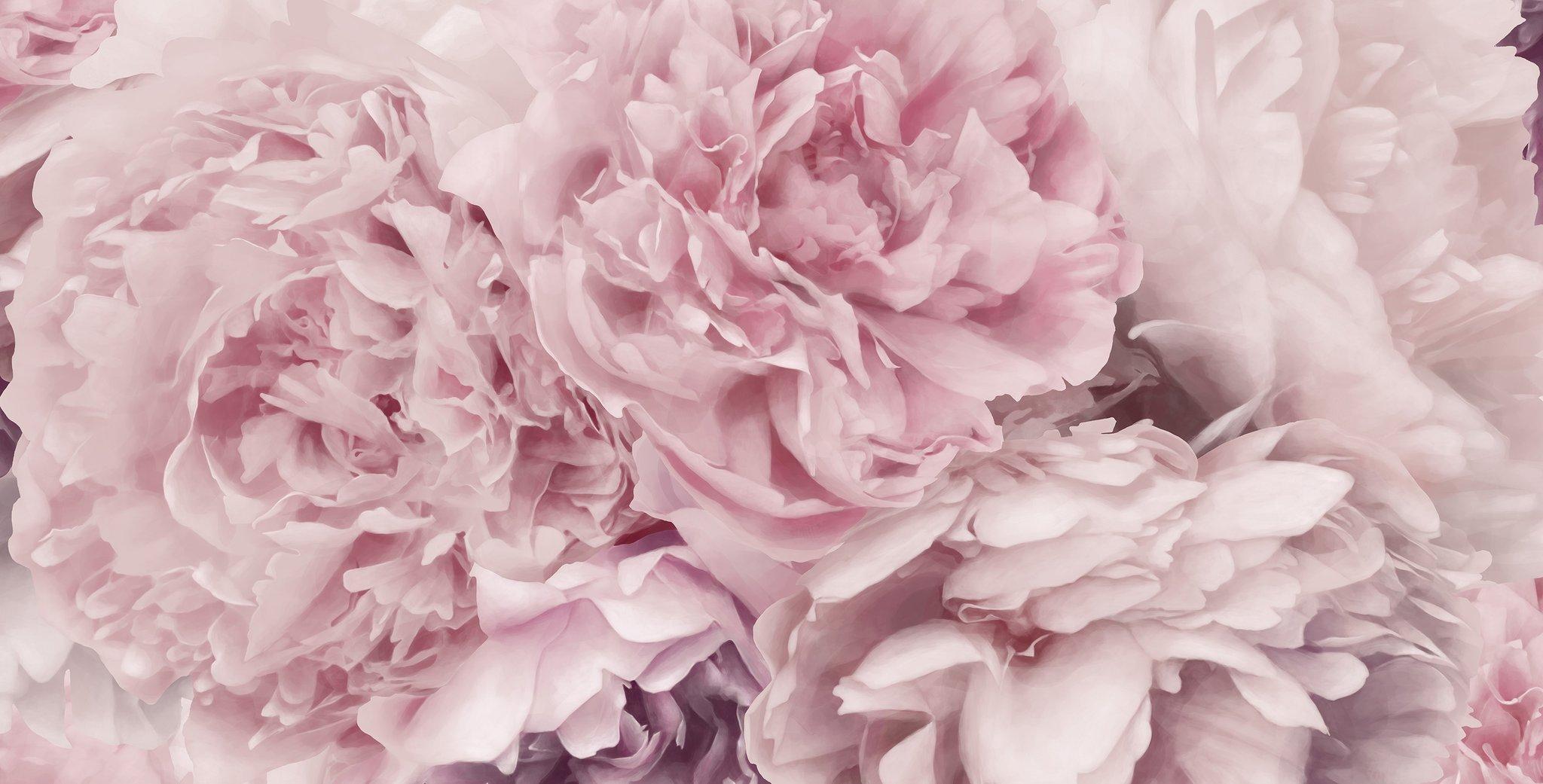 Desktop Peonies Wallpapers Wallpaper Cave