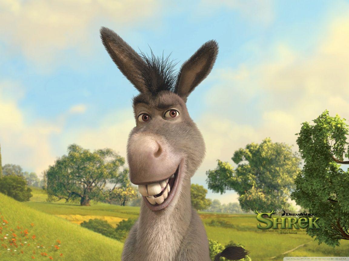 Donkey Shrek Wallpapers Wallpaper Cave