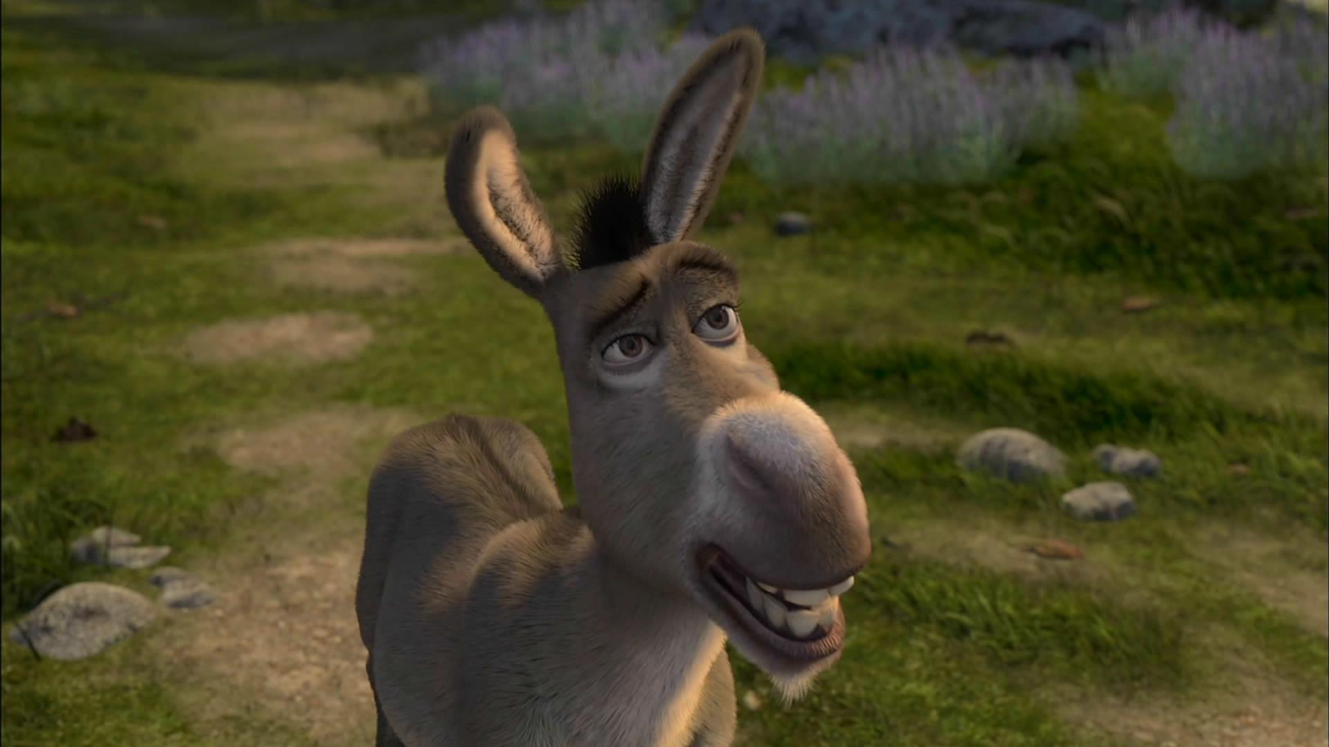 Donkey Shrek Wallpapers Wallpaper Cave