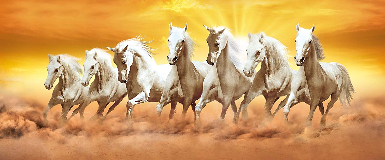 7 Horses Wallpapers Wallpaper Cave