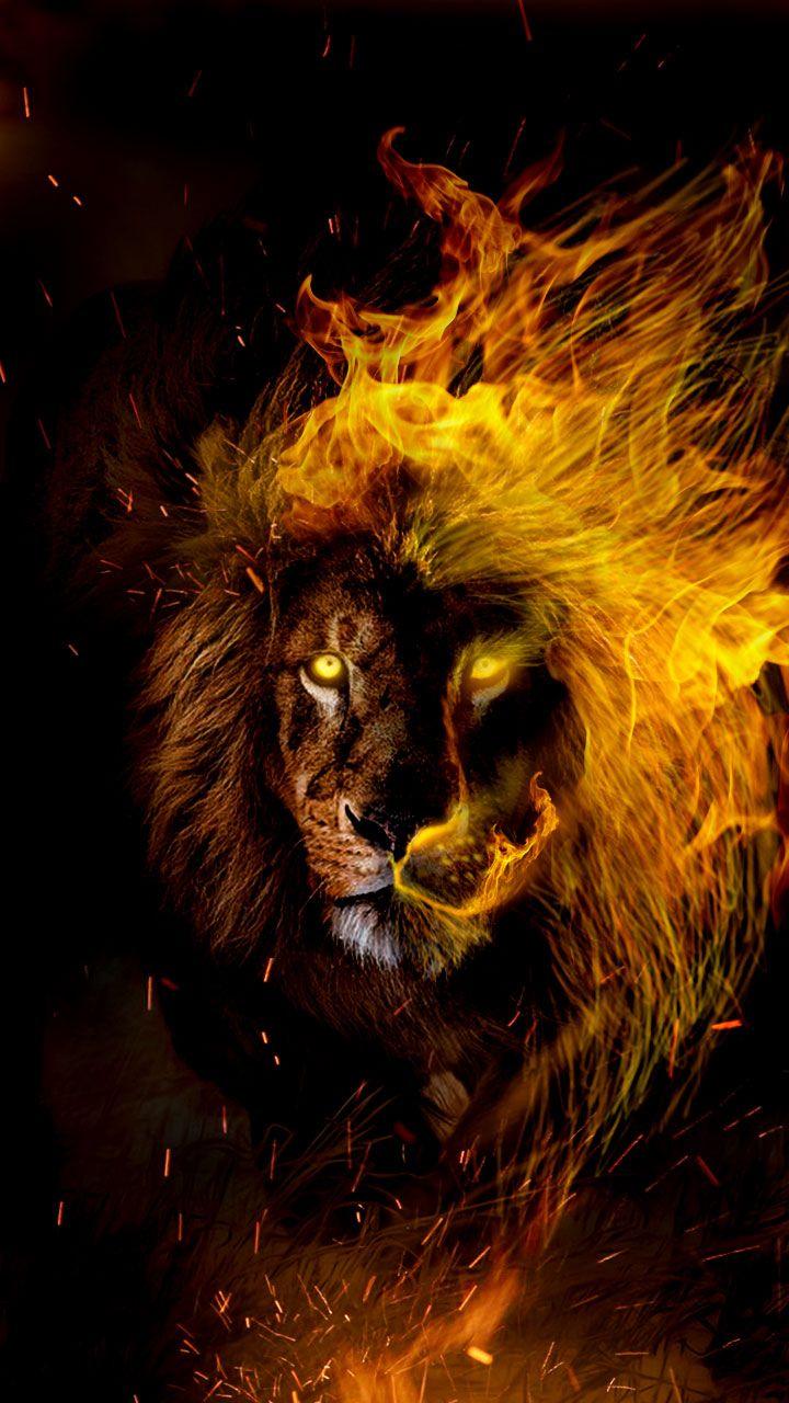 Flaming Lion HD Mobile Wallpapers Wallpaper Cave