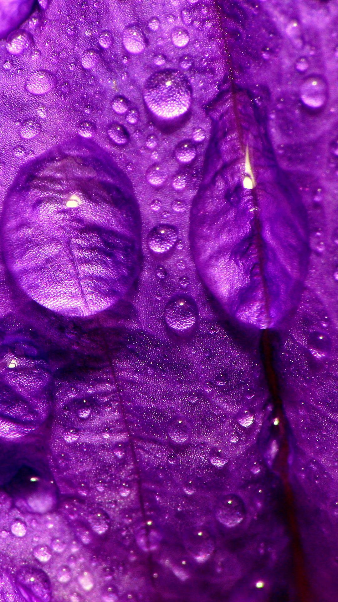 Purple Rain Wallpaper Prince Purple Rain Wallpapers Bodenewasurk