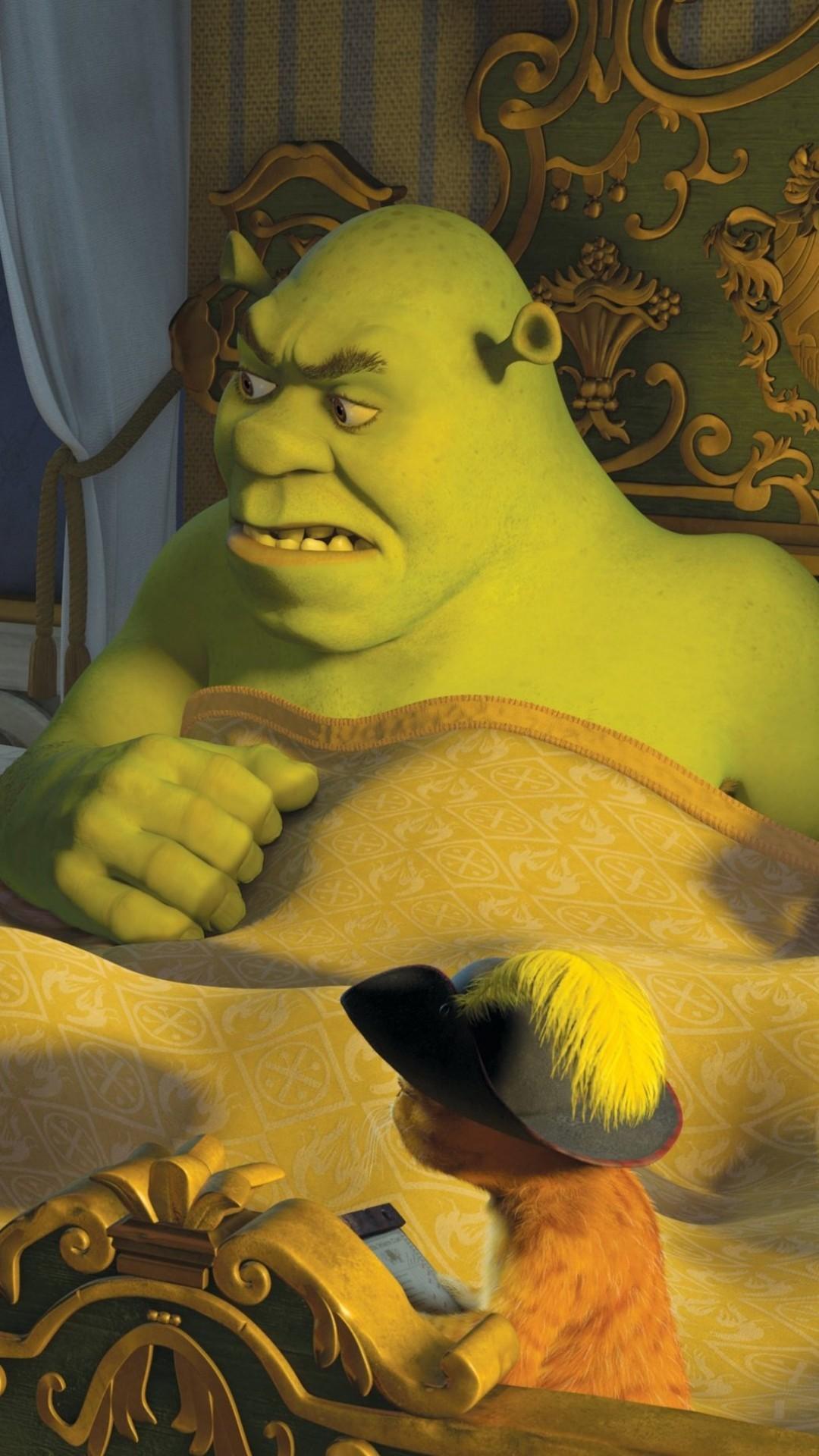 Shrek Meme Wallpapers Wallpaper Cave