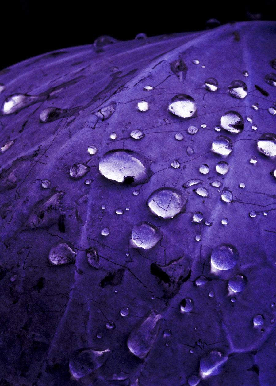 Purple Rain Wallpapers Wallpaper Cave