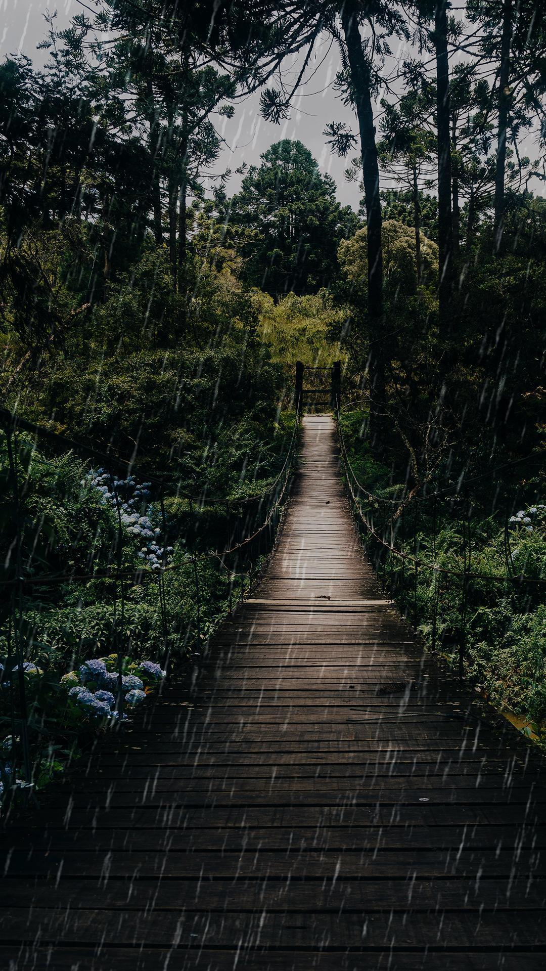 Rain Phone Wallpapers Wallpaper Cave