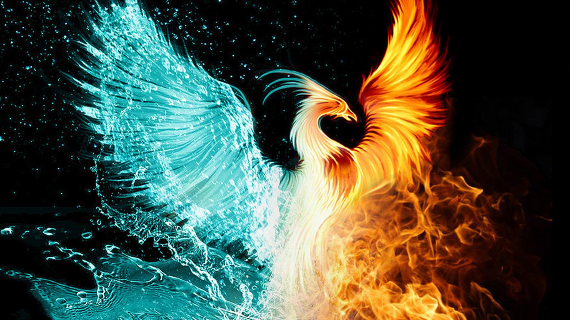 Phoenix Bird HD Computer Wallpapers Wallpaper Cave