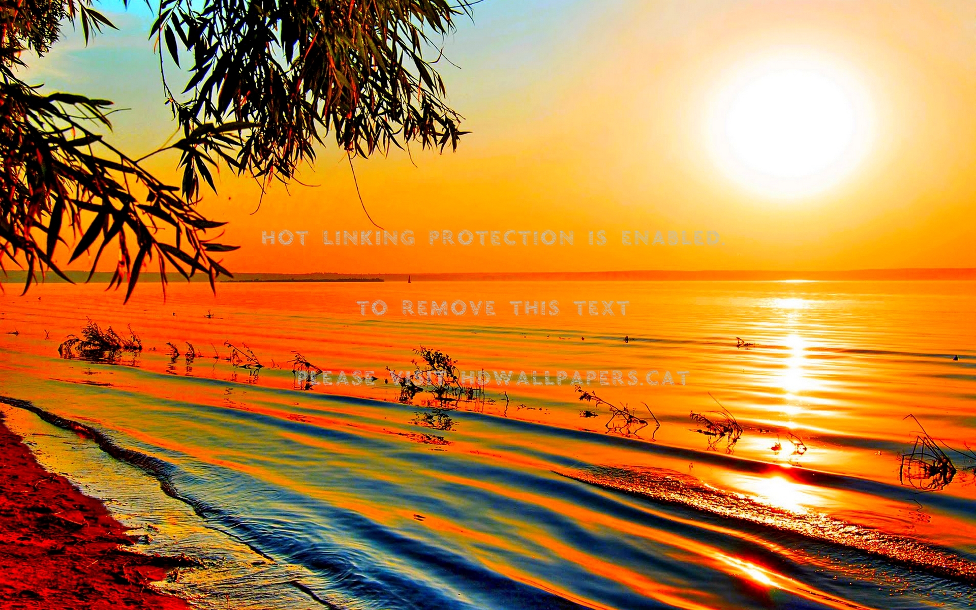 Orange Sunset Wallpapers Wallpaper Cave