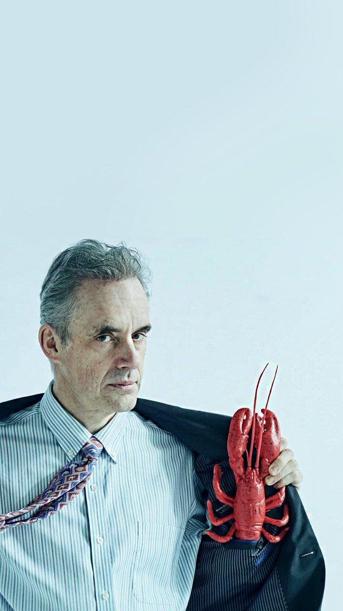 Jordan Peterson Phone Wallpapers Wallpaper Cave