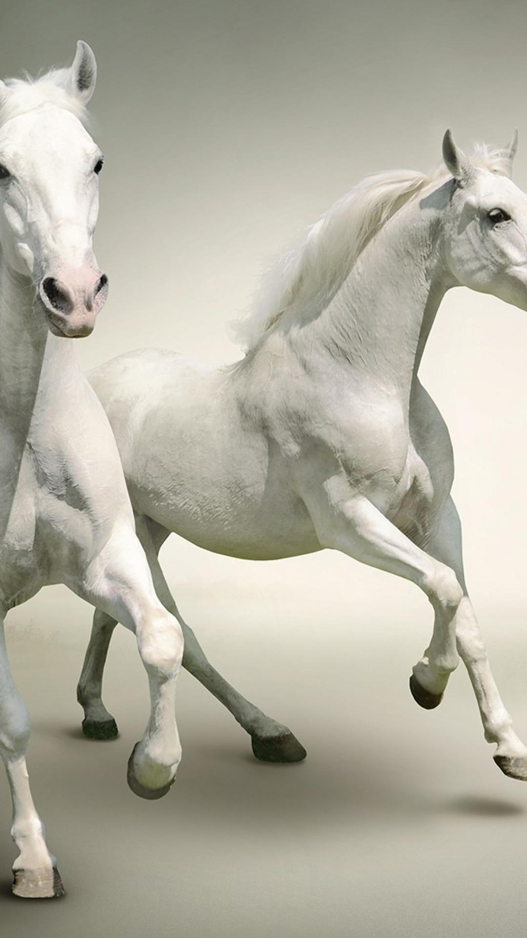 Running Horse Mobile HD Wallpapers Wallpaper Cave