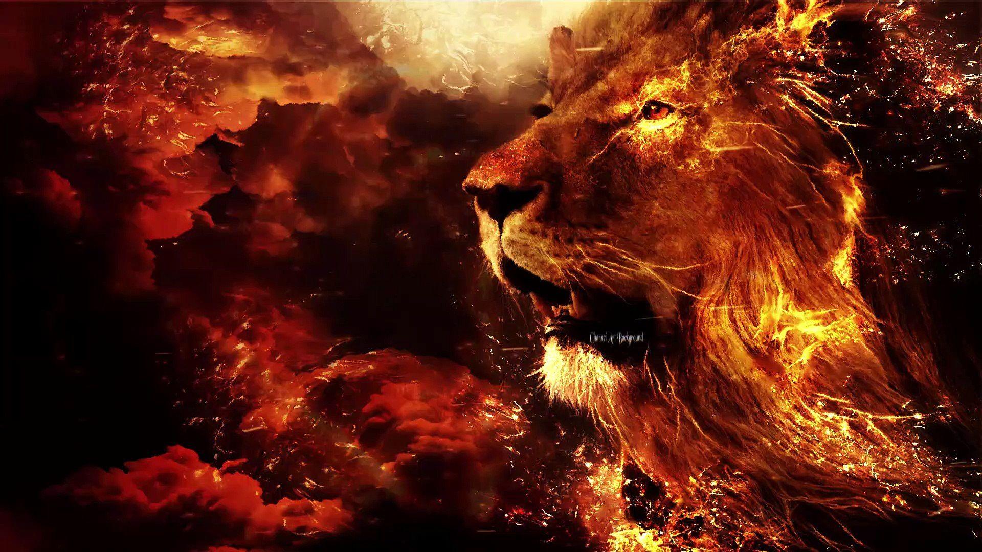 Burning Lions HD Wallpapers Wallpaper Cave