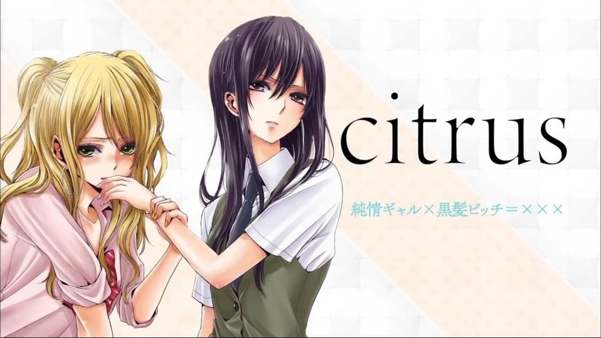 Citrus Anime HD Wallpapers Wallpaper Cave
