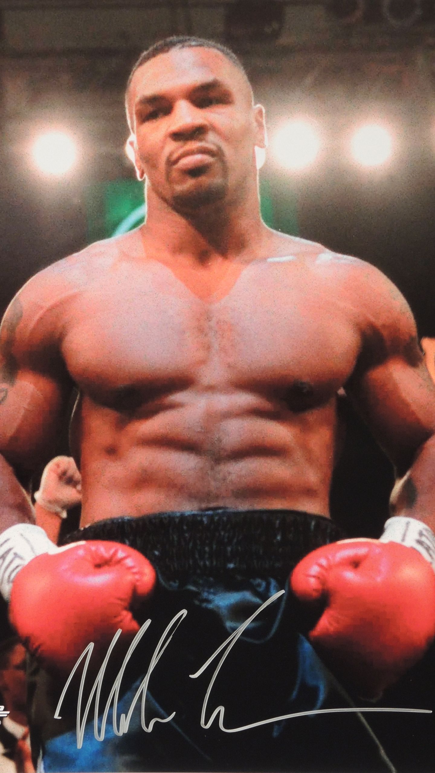Mike Tyson HD Phone Wallpapers Wallpaper Cave