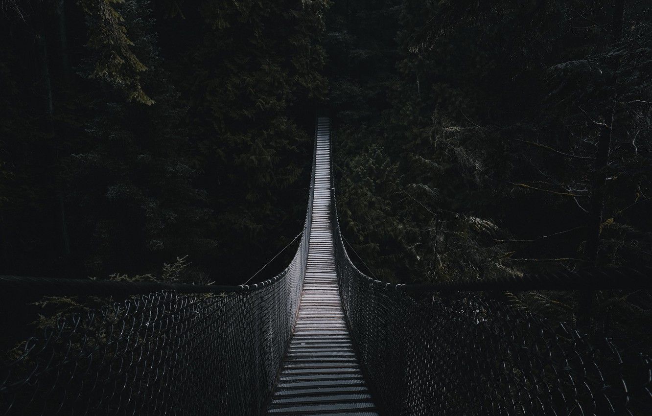 Dark Forest HD Wallpapers Wallpaper Cave