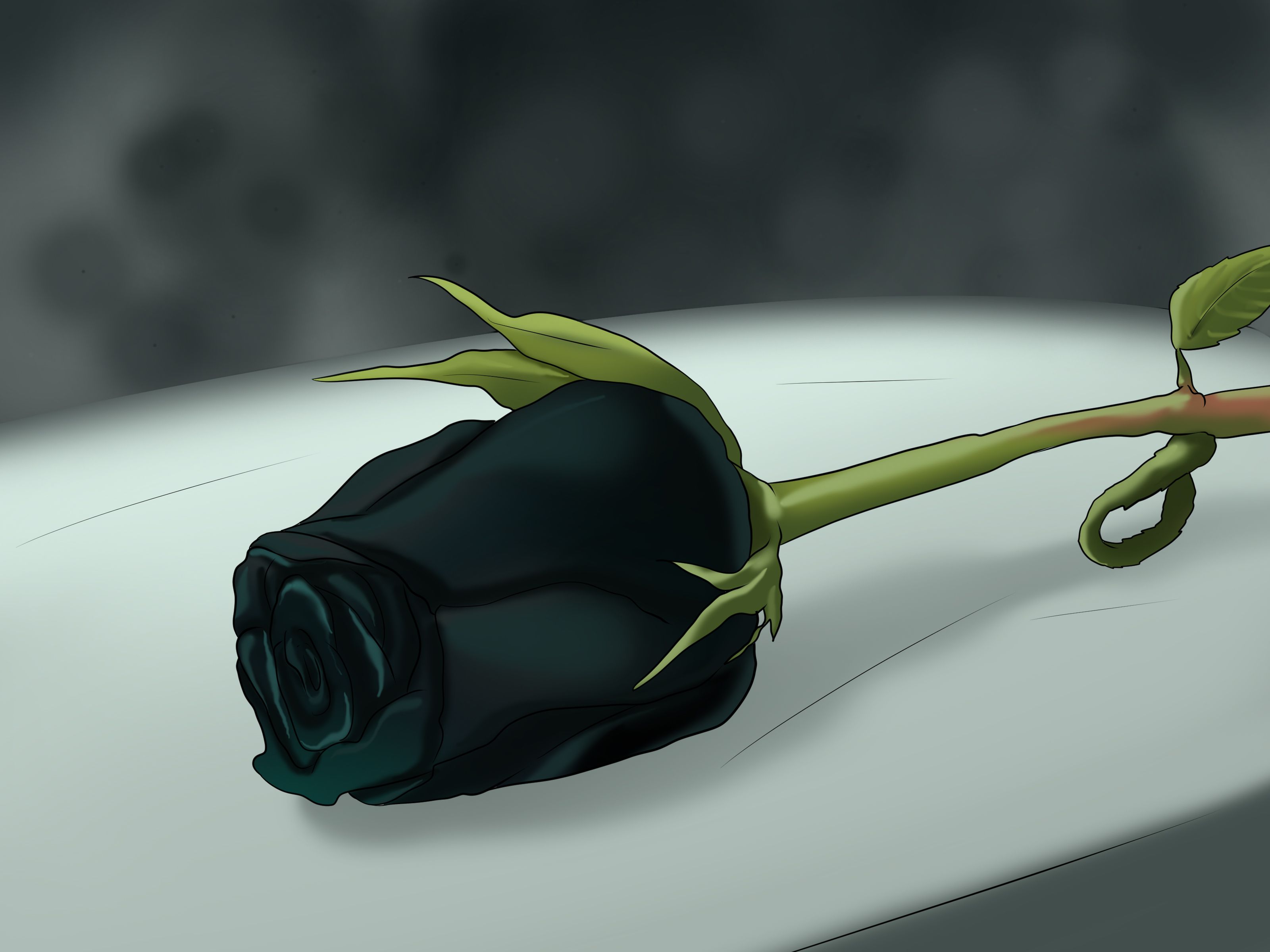 Black Roses Desktop Wallpapers Wallpaper Cave