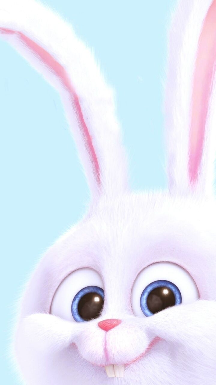 Blue Bunny Wallpapers Wallpaper Cave