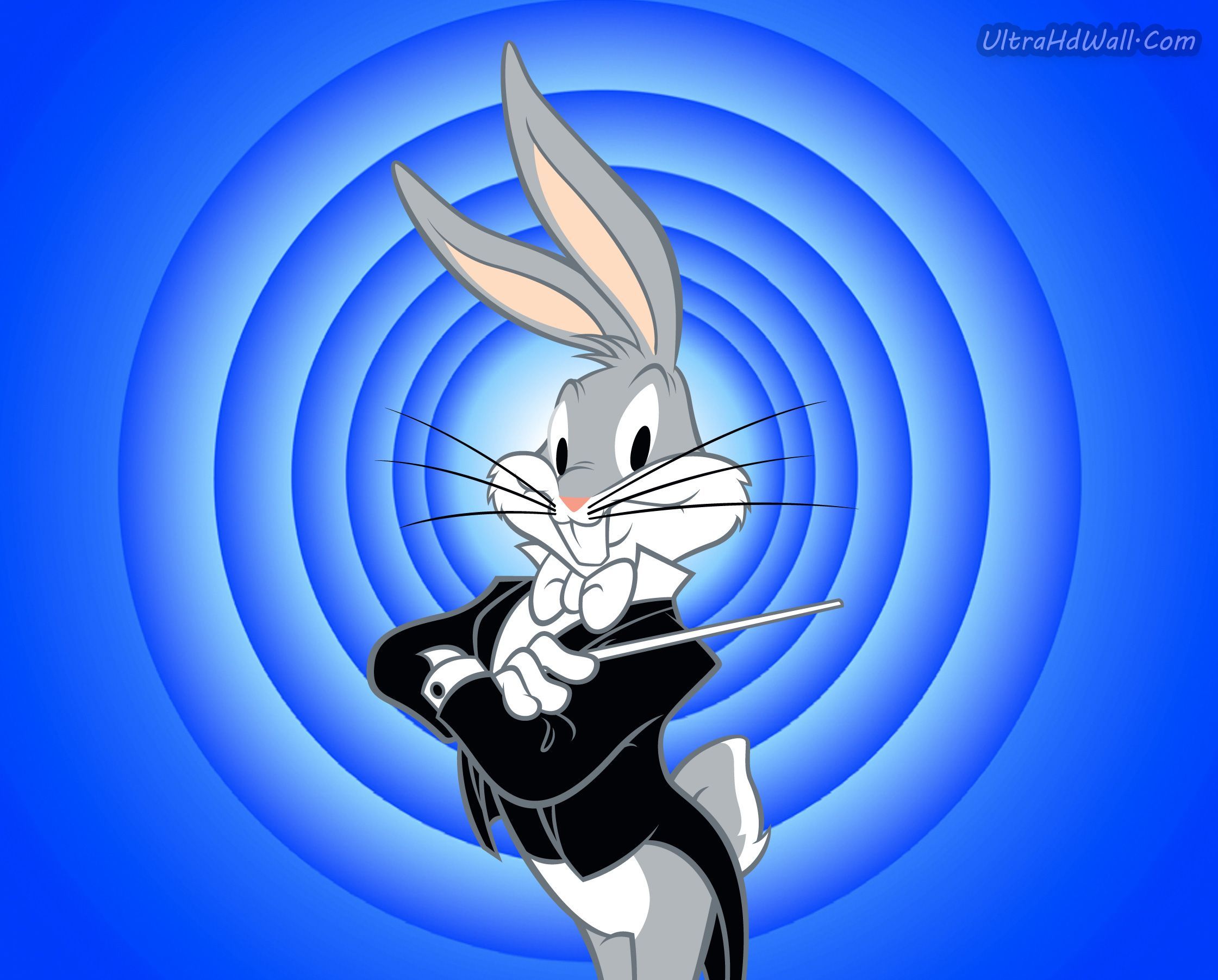 Blue Bunny Wallpapers Wallpaper Cave