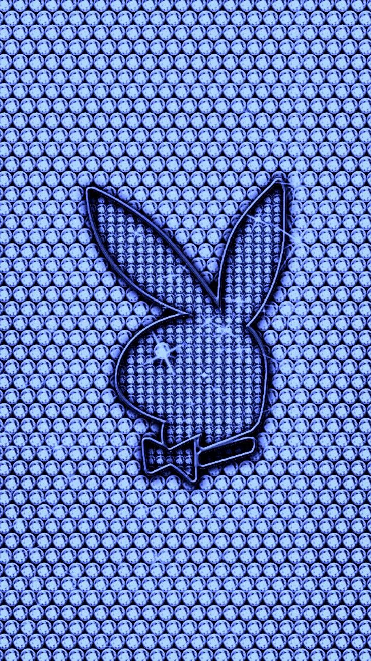 Blue Bunny Wallpapers Wallpaper Cave