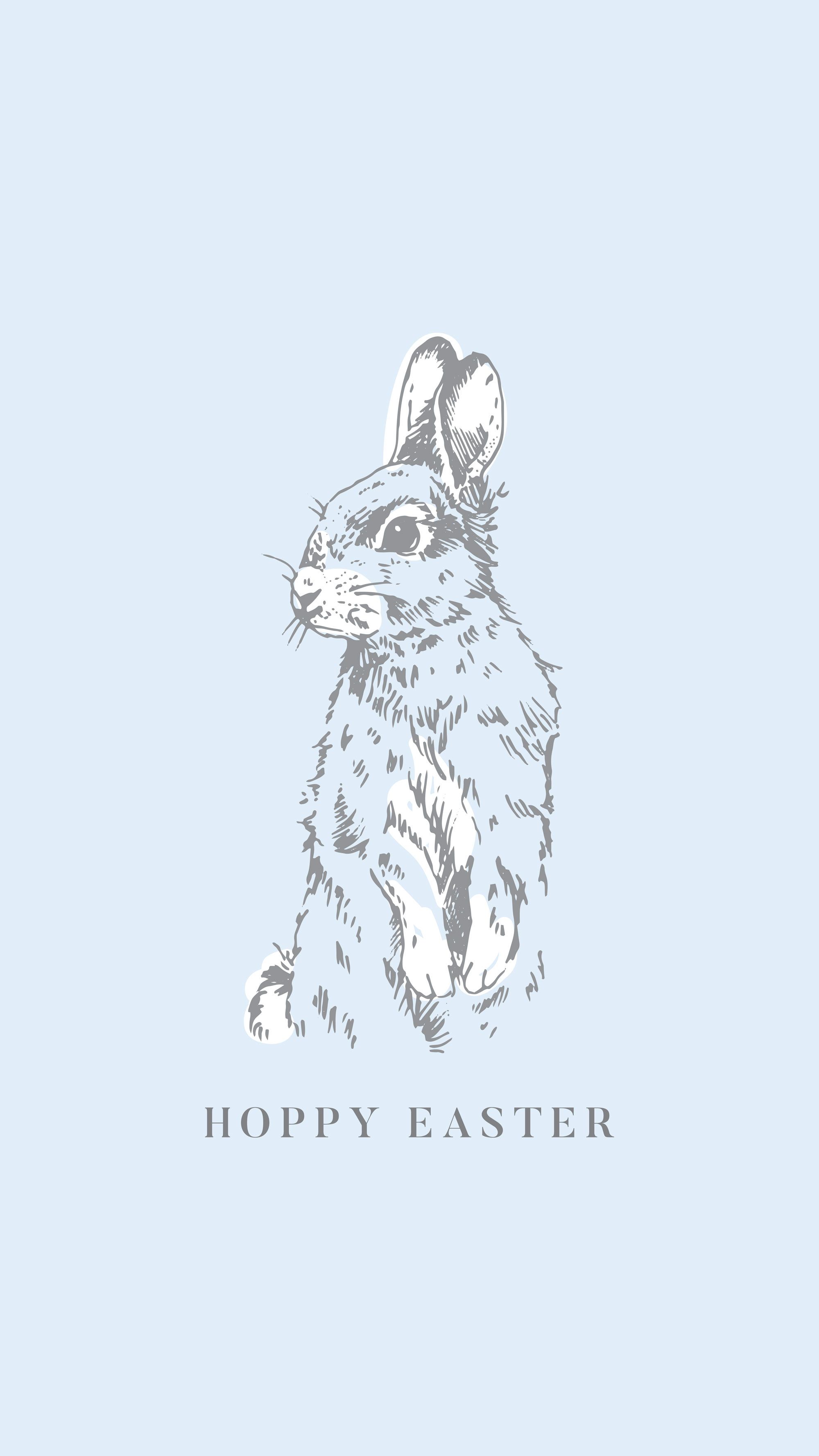 Blue Bunny Wallpapers Wallpaper Cave