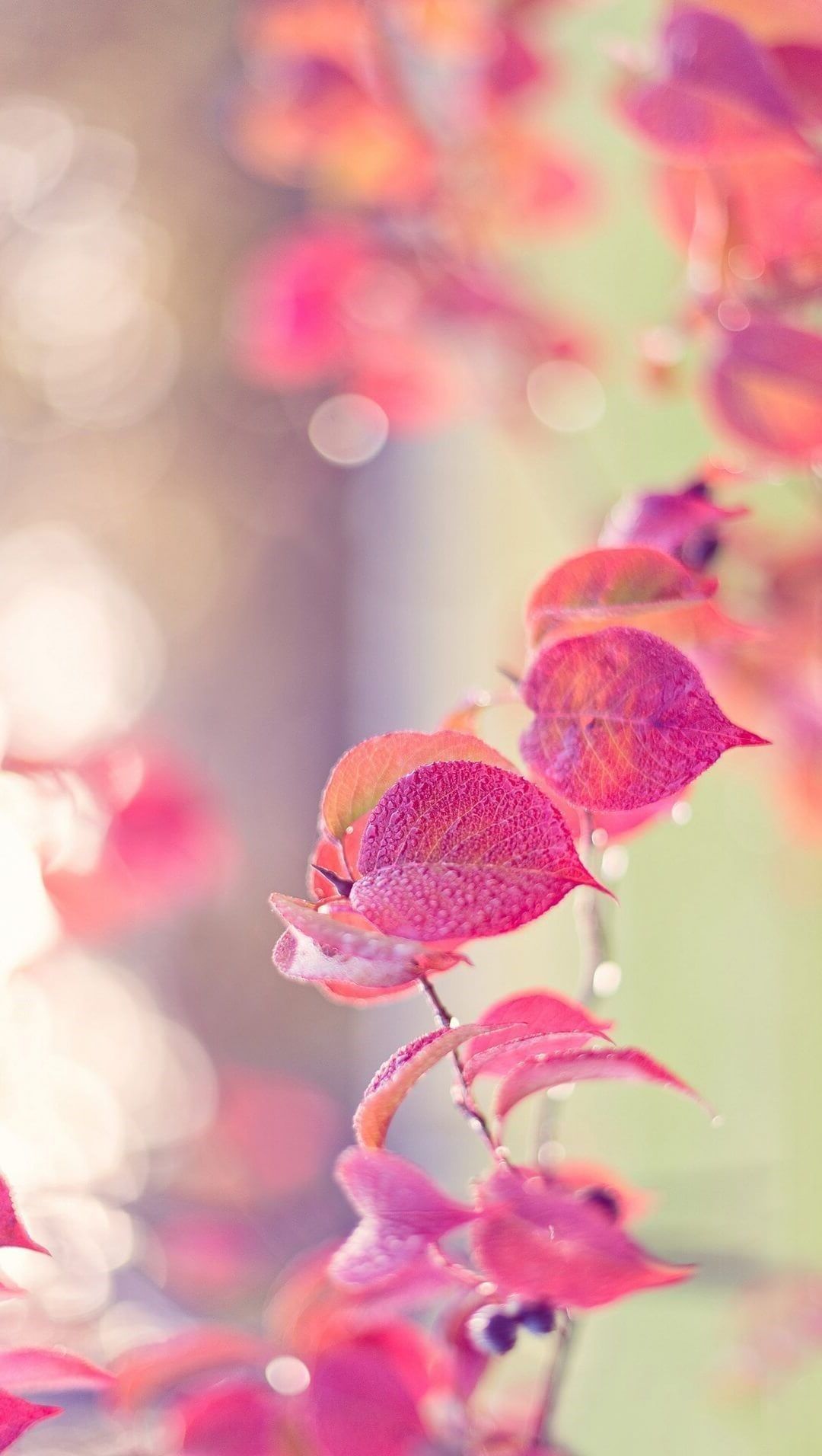 Girly For Phone Wallpapers Wallpaper Cave