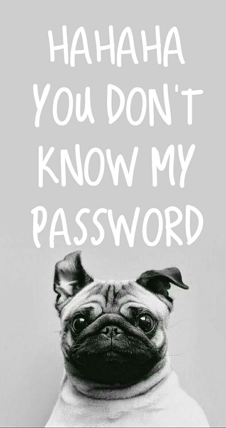 You Don't Know My Password Haha Emoji Wallpaper
