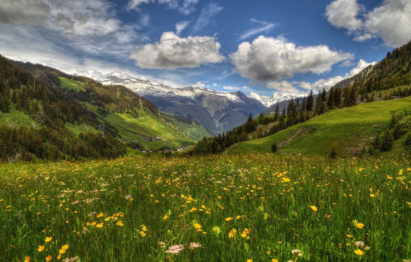 Spring Flowers Alps Wallpapers Wallpaper Cave