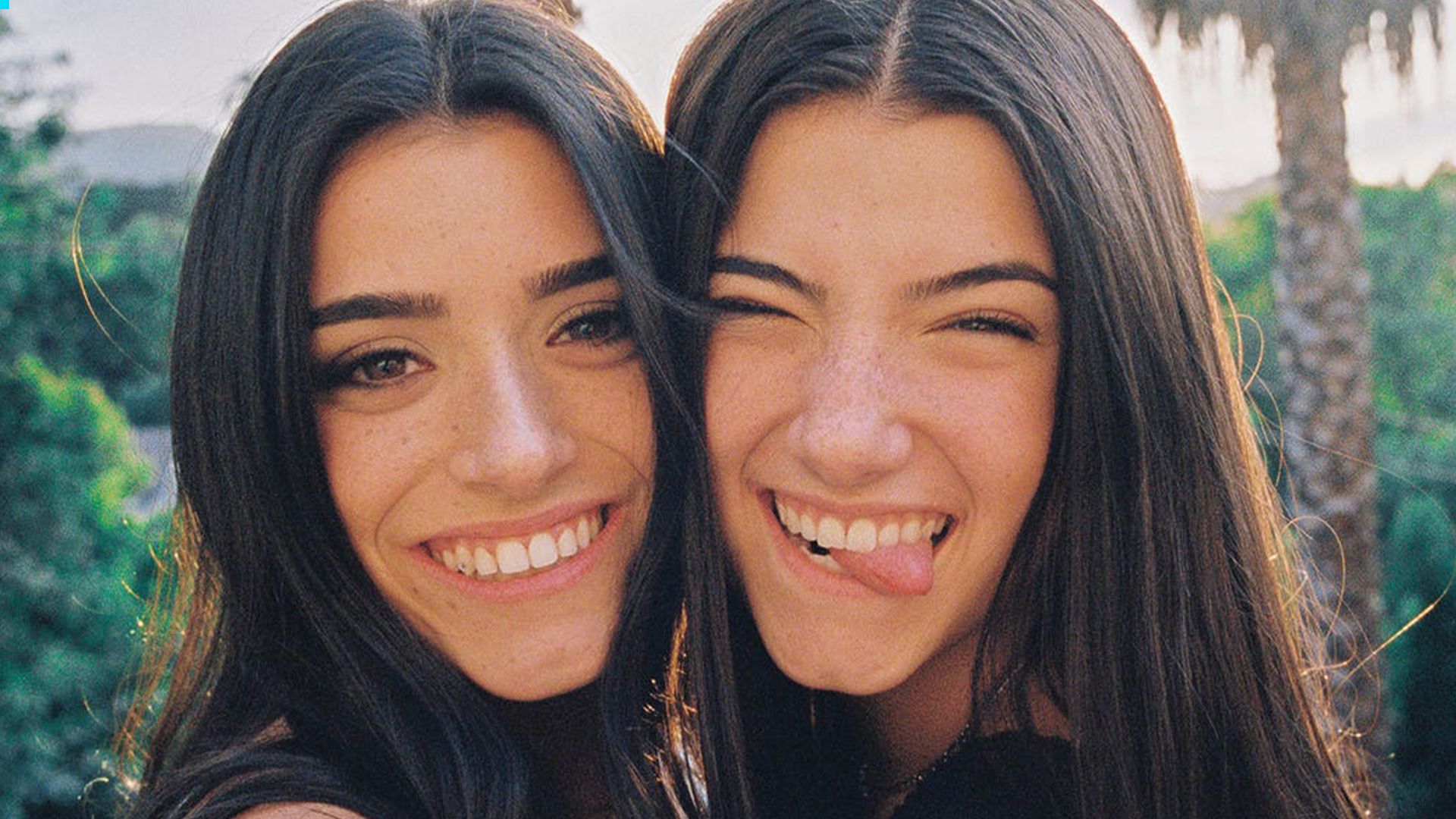 Dixie D'Amelio Wallpapers - Wallpaper Cave