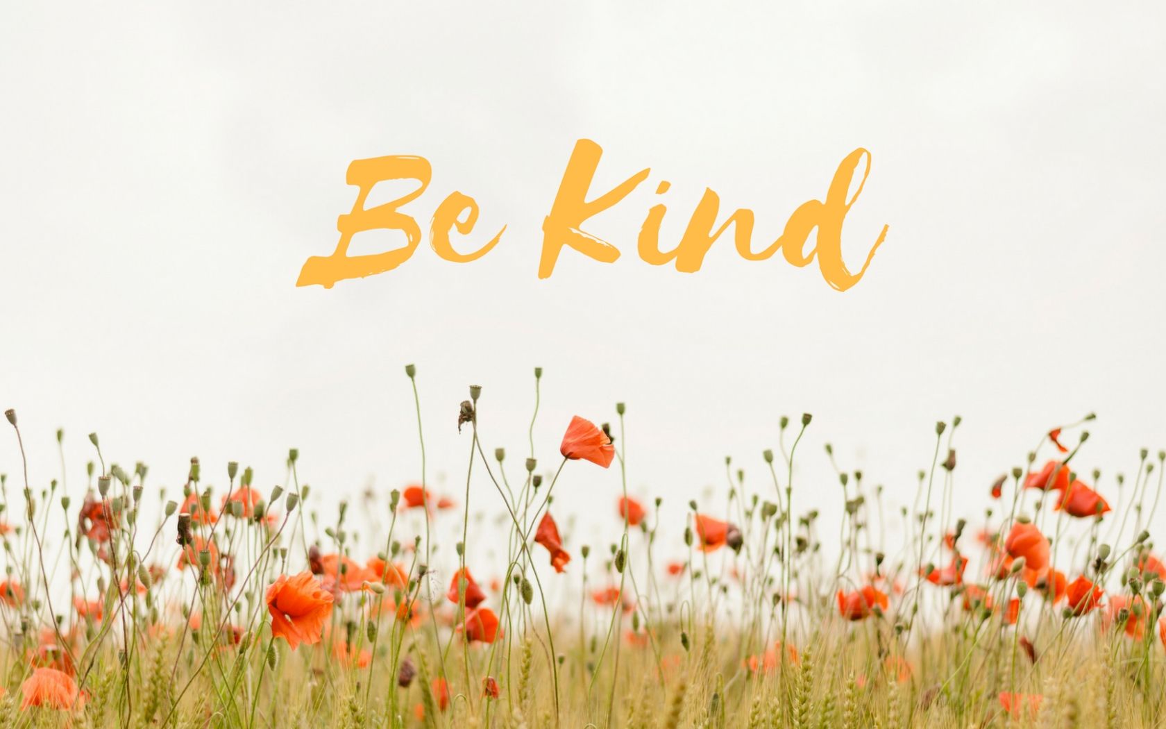 Be Kind Wallpapers Wallpaper Cave