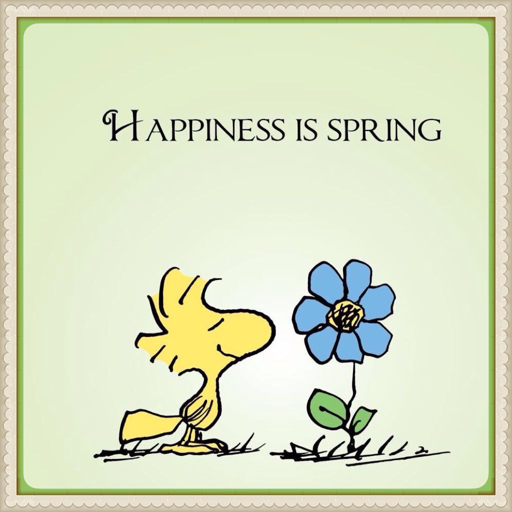 Spring Peanuts Wallpapers Wallpaper Cave