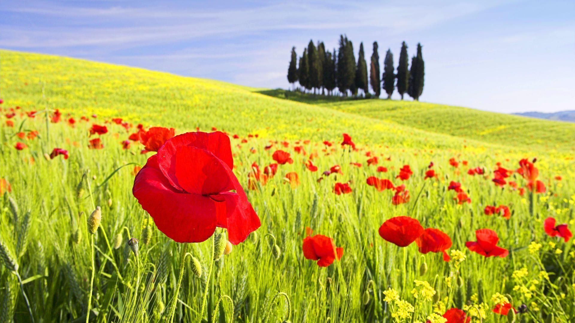 Italy Spring Wallpapers Wallpaper Cave