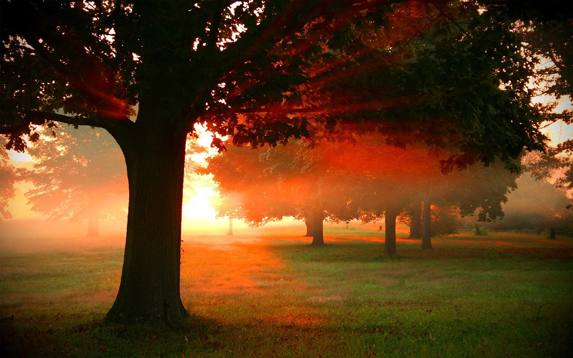 Dawn Of Light Wallpapers Wallpaper Cave