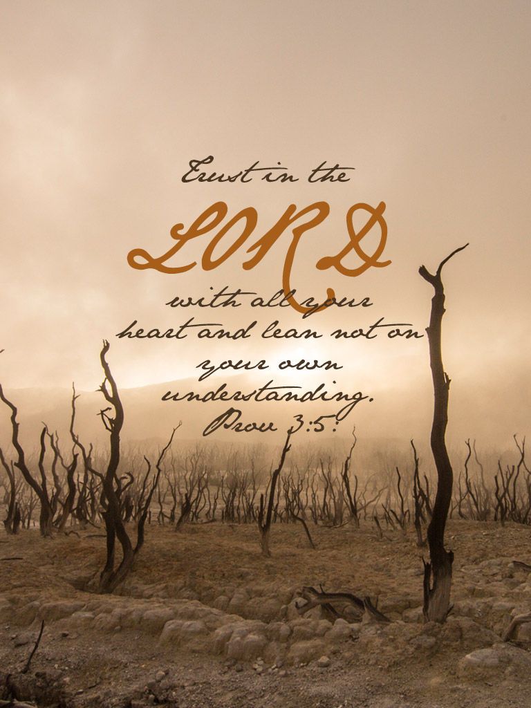 English Standard Version (ESV) BibleGateway.com