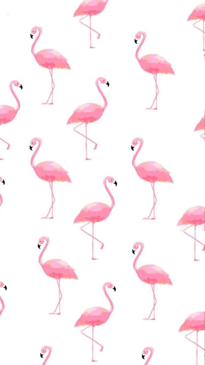 Easter Flamingos Wallpapers Wallpaper Cave