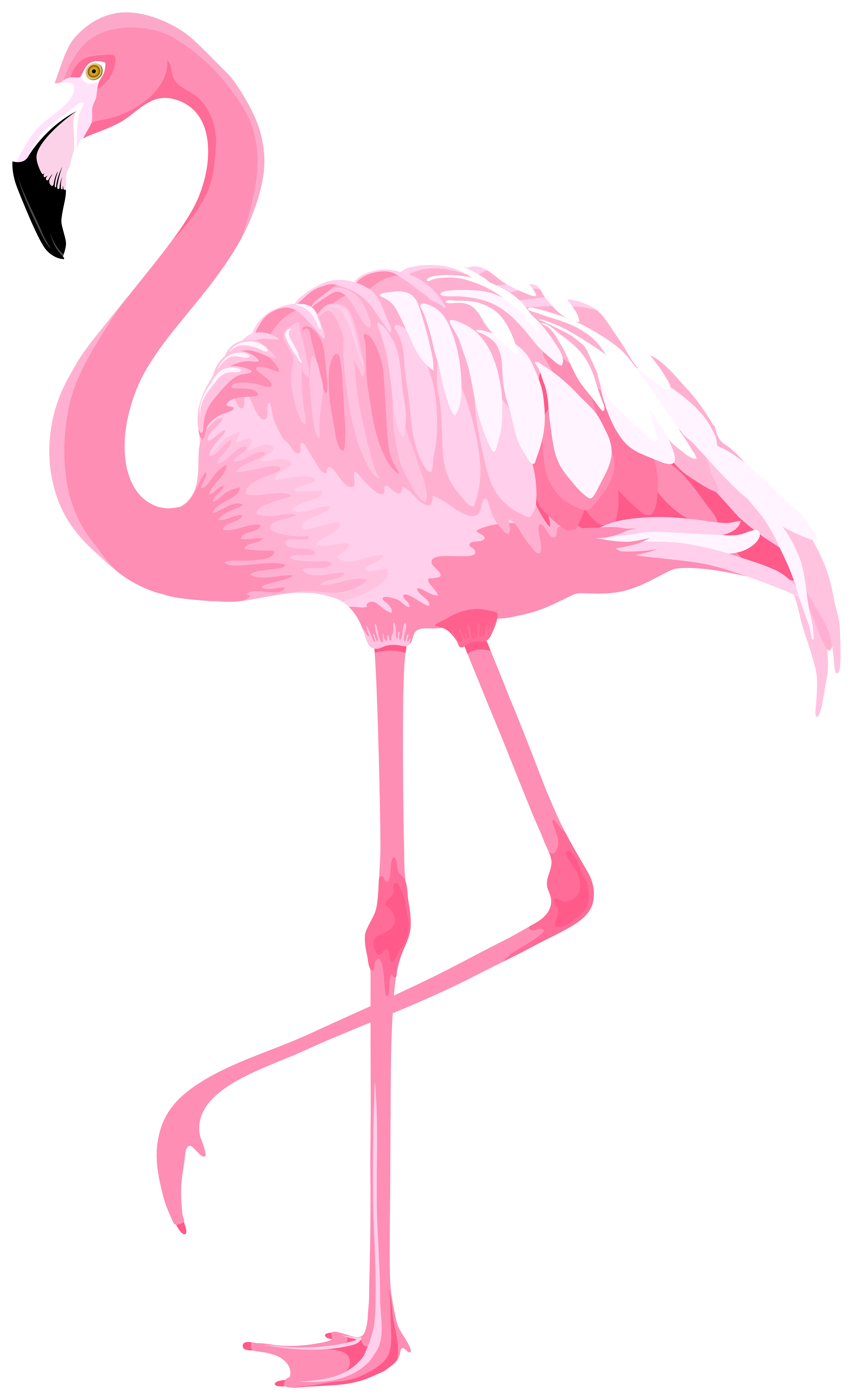 Easter Flamingos Wallpapers Wallpaper Cave