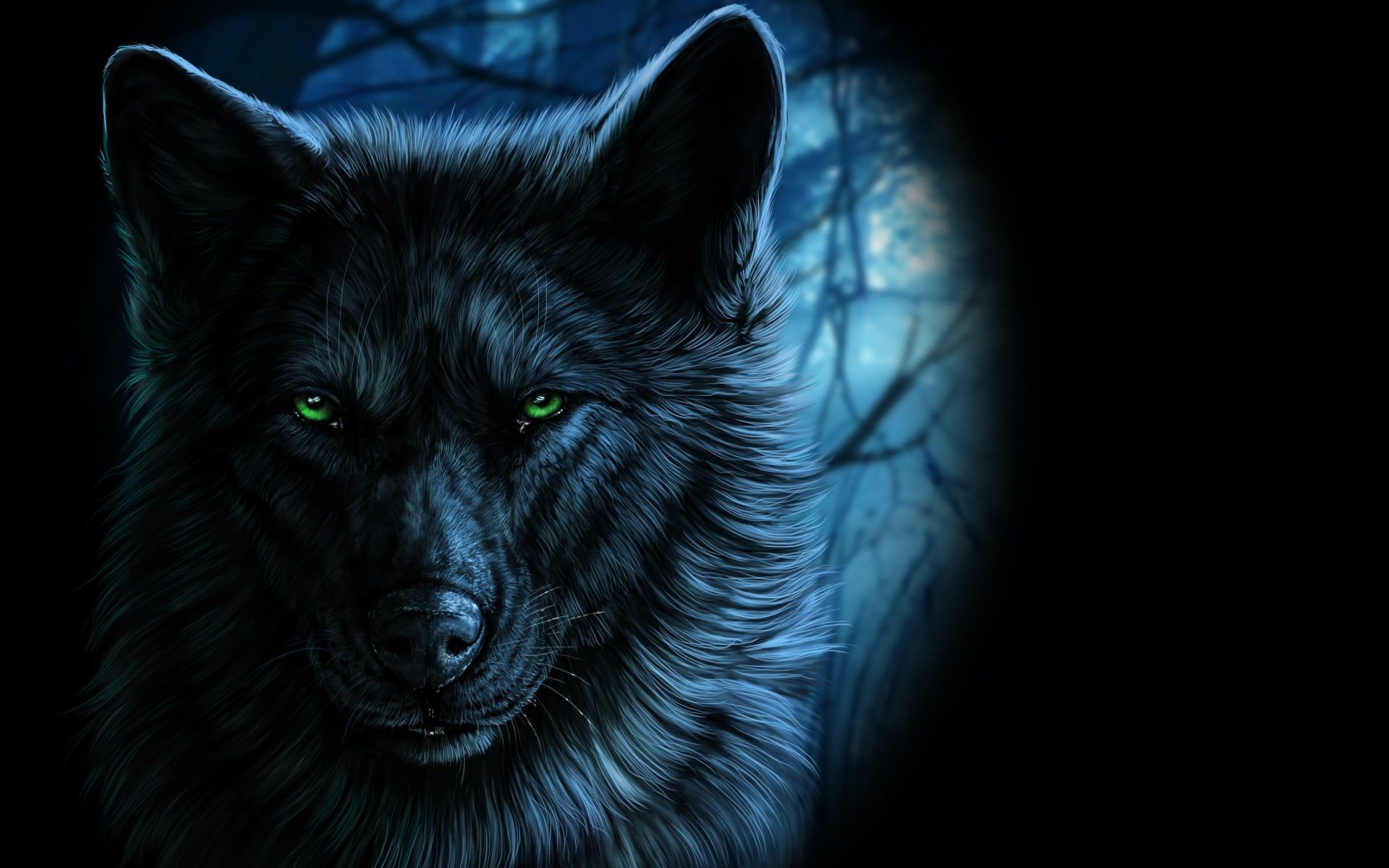 Gray Wolves Wallpapers Wallpaper Cave