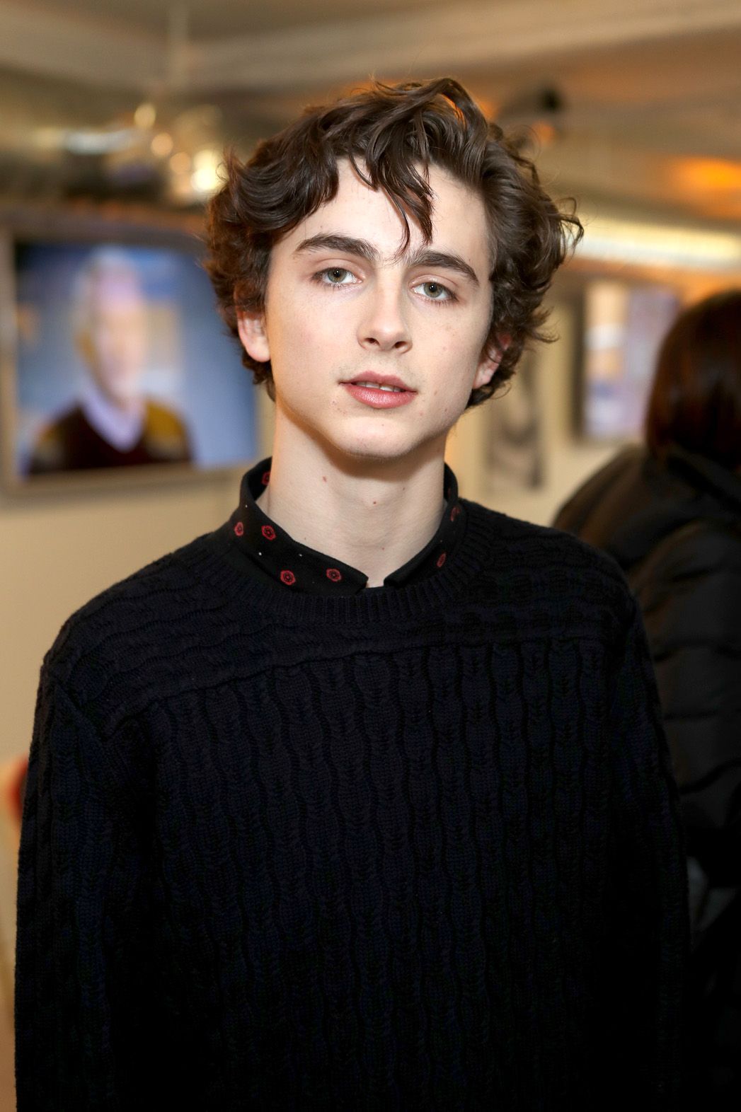 Timothee Chalamet Aesthetic Wallpapers Wallpaper Cave