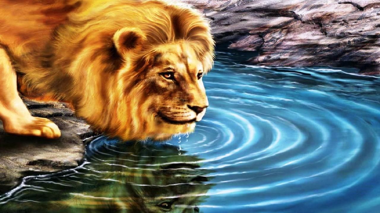 3D Lion PC Desktop Wallpapers Wallpaper Cave