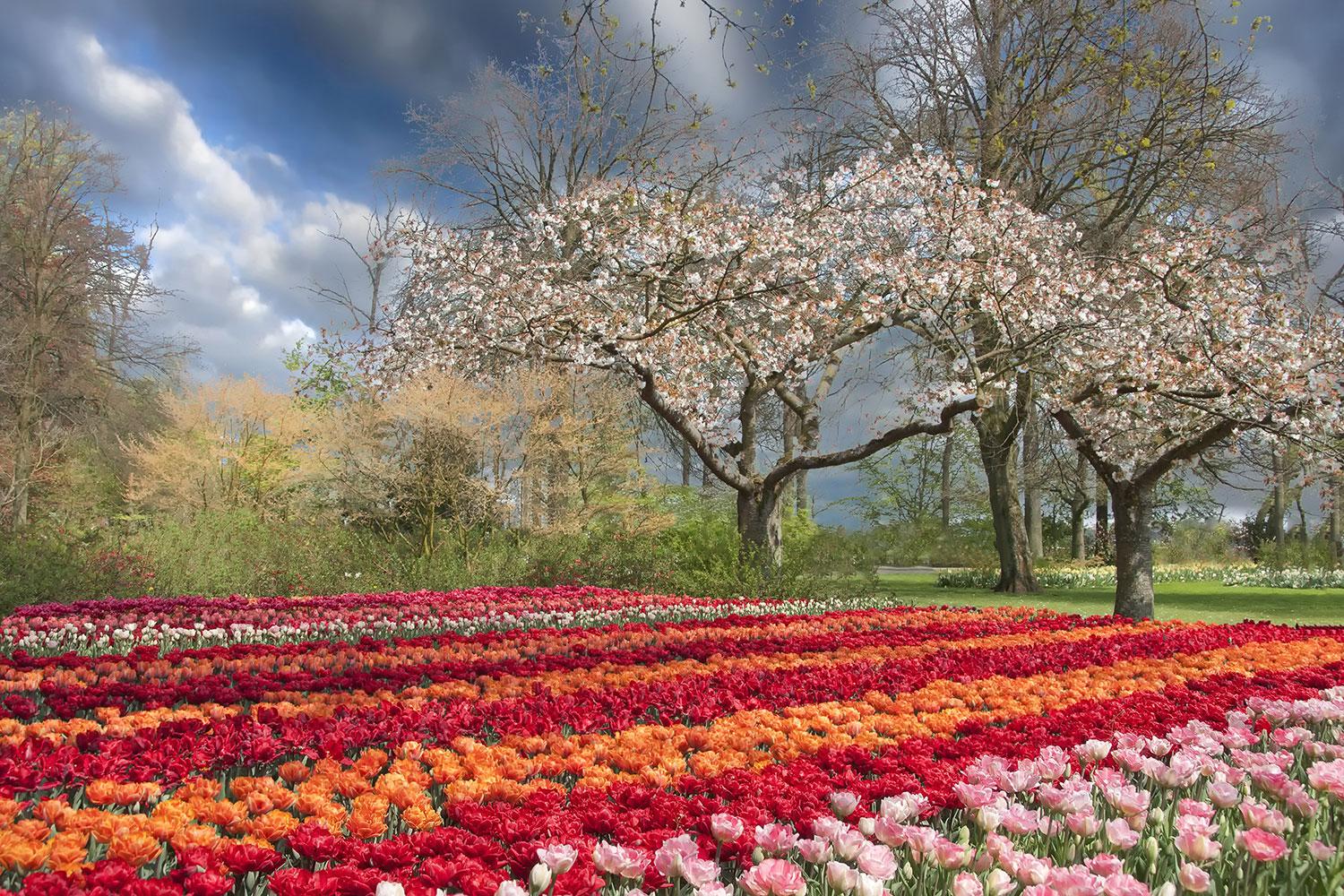 Valley Of Flowers Wallpapers Wallpaper Cave