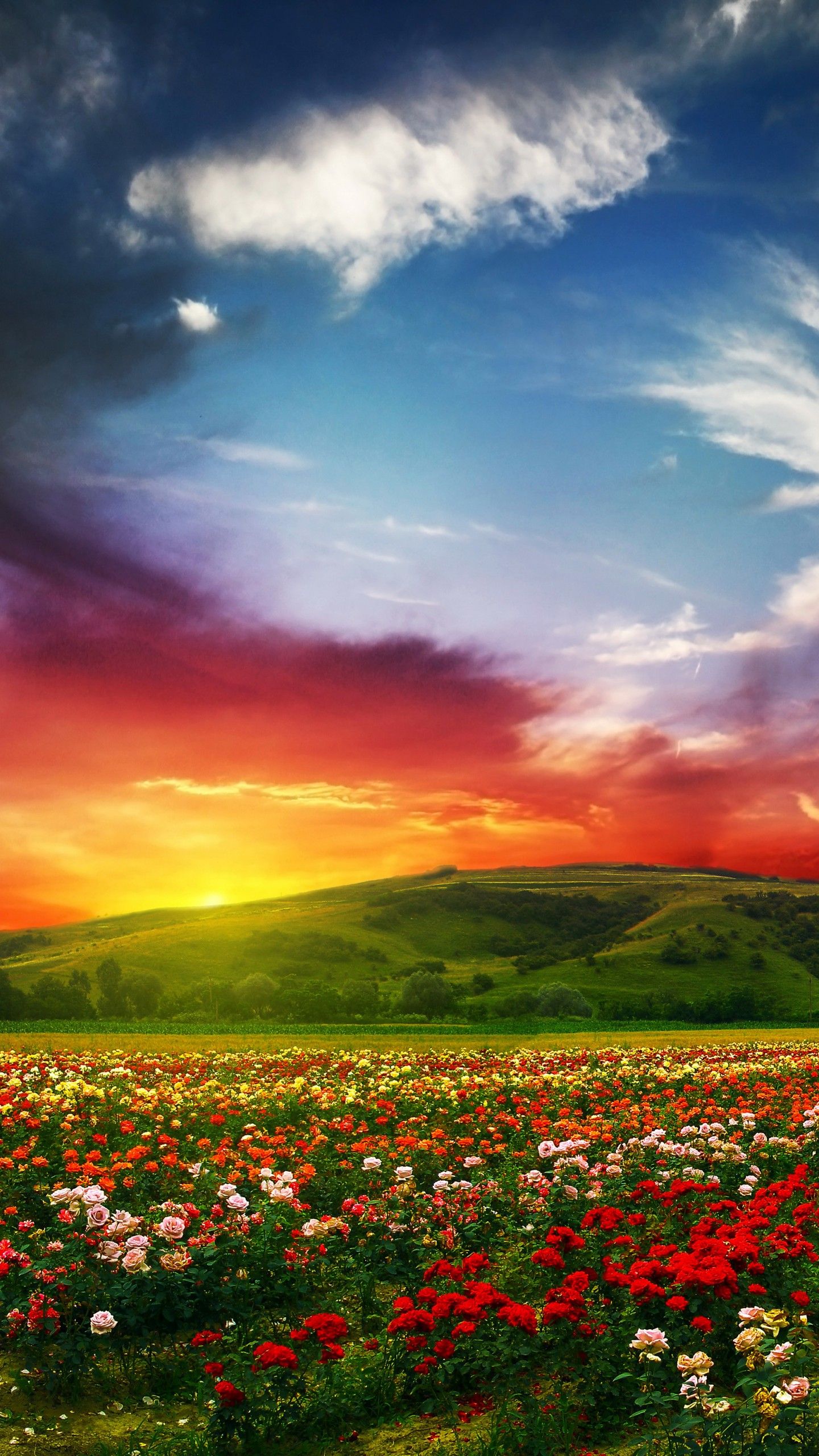 Valley Of Flowers Wallpapers Wallpaper Cave