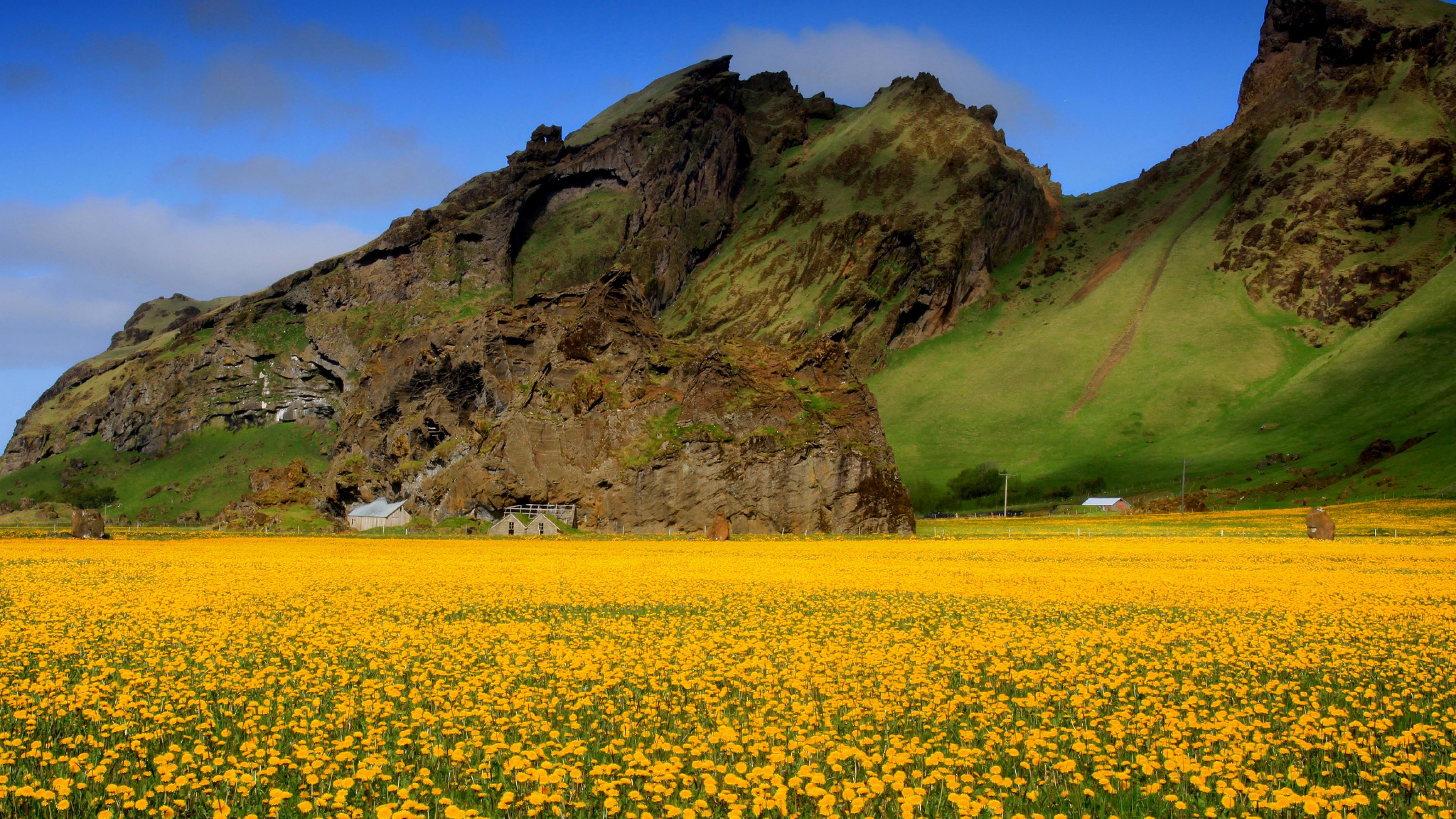 Valley Of Flowers Wallpapers Wallpaper Cave