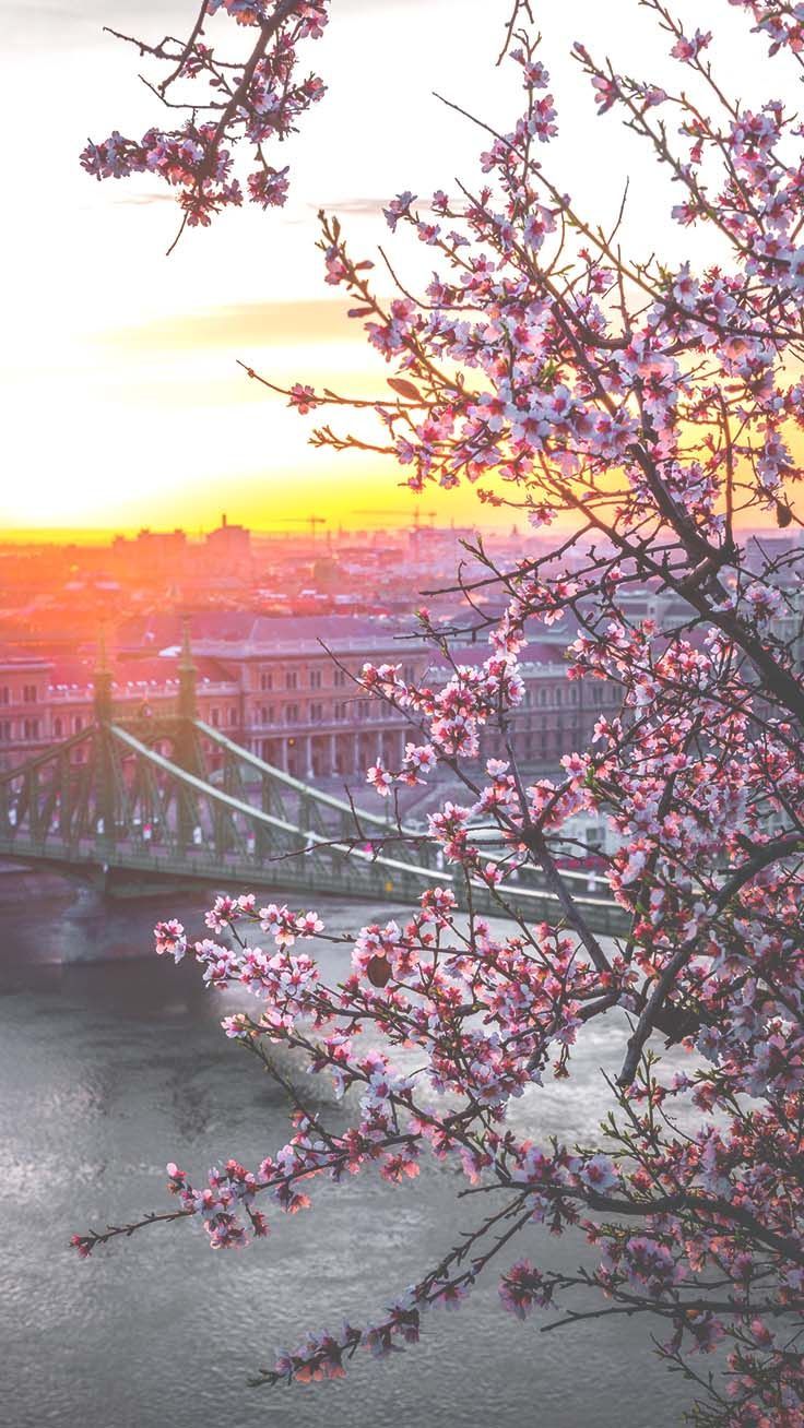 Europe Spring Wallpapers Wallpaper Cave