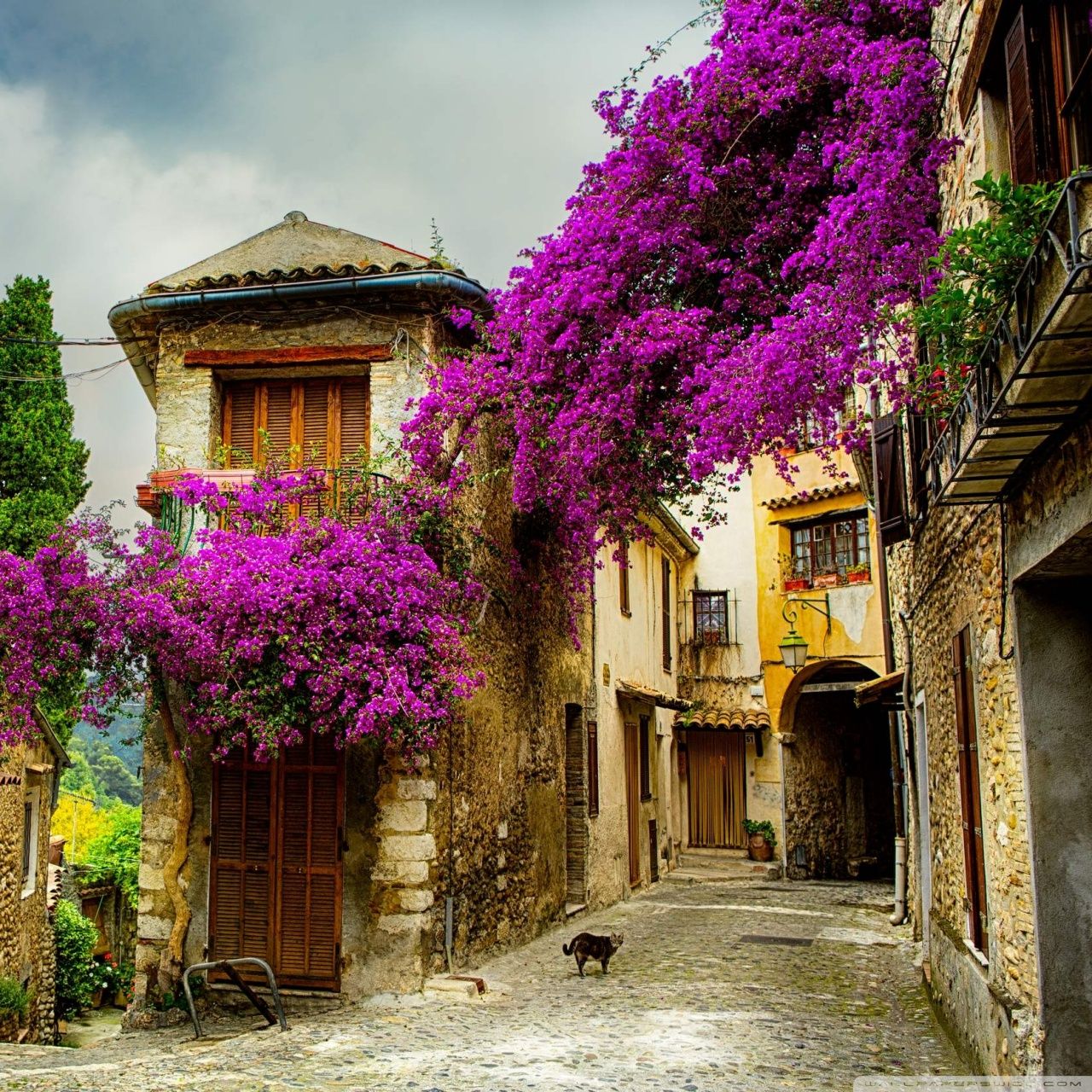 Spring Europe Wallpapers Wallpaper Cave