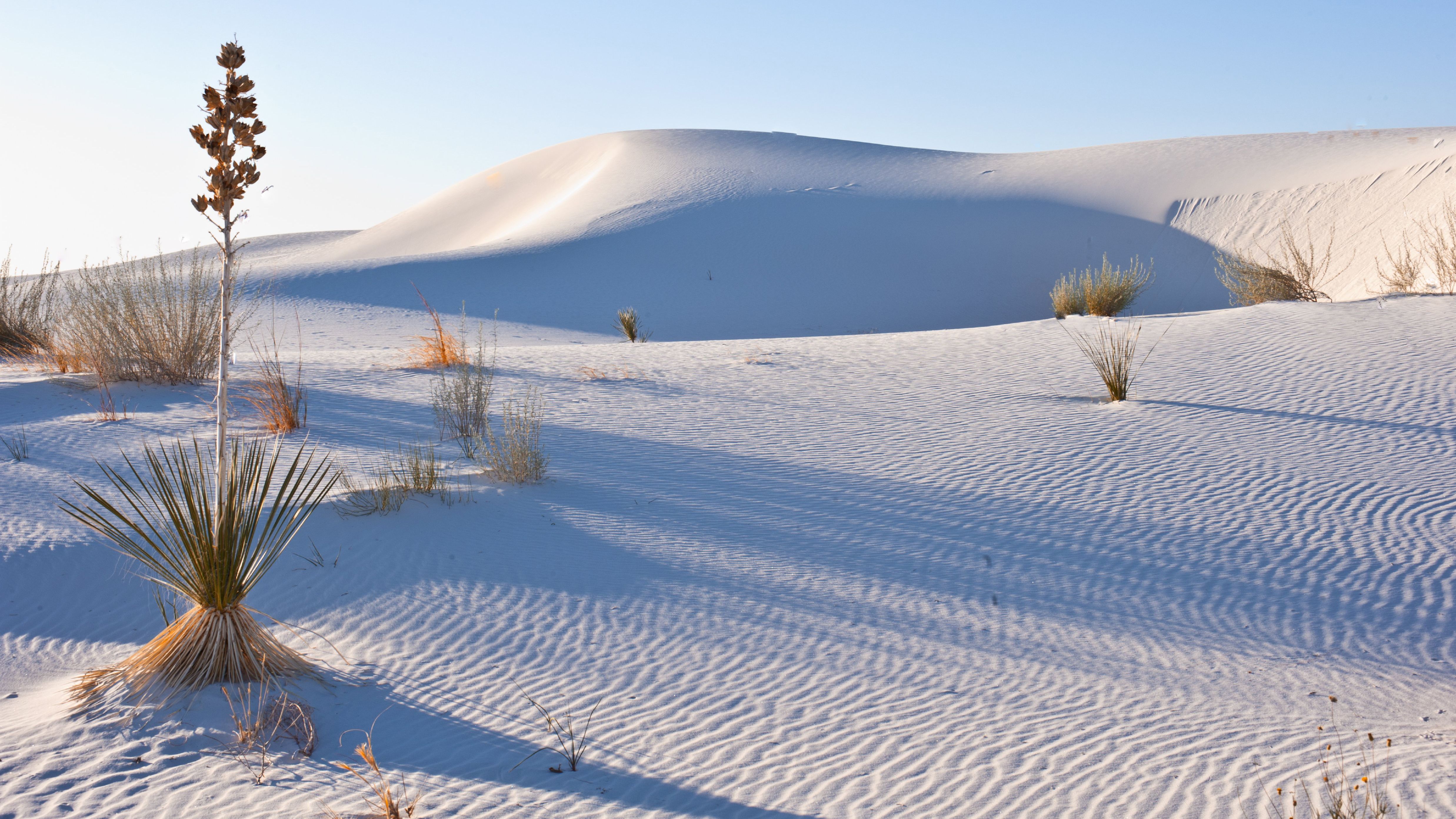White Sands New Mexico Wallpapers Wallpaper Cave