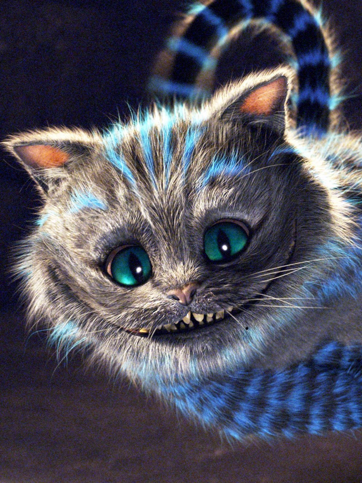 Cheshire Cat Phone HD Wallpapers Wallpaper Cave