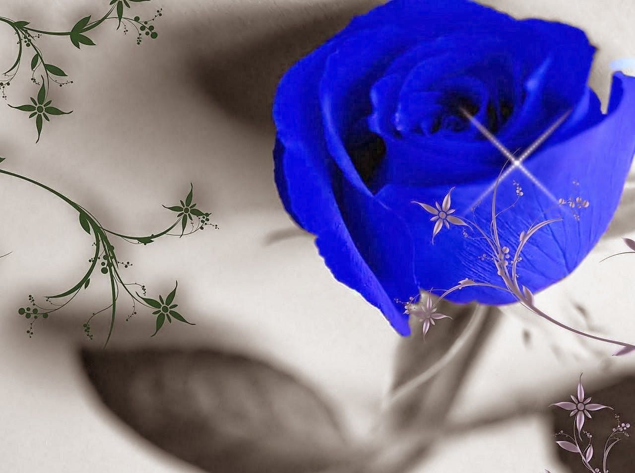 Beautiful Blue Rose Desktop Wallpapers Wallpaper Cave