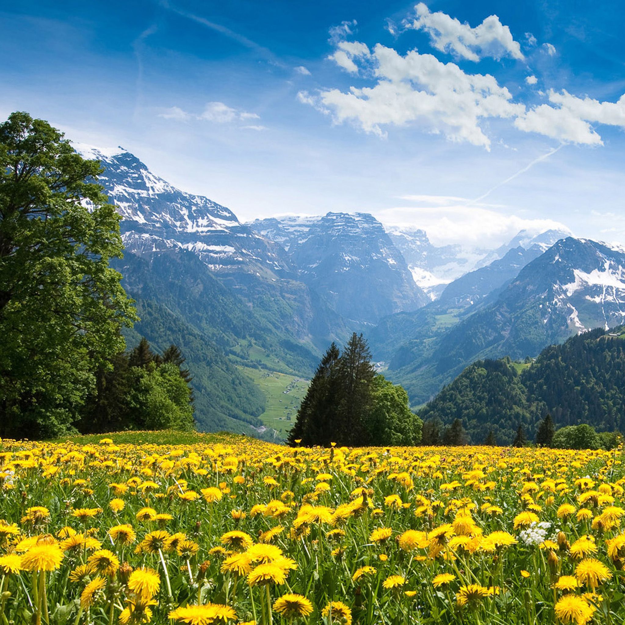 Spring Mountain Wallpapers Wallpaper Cave