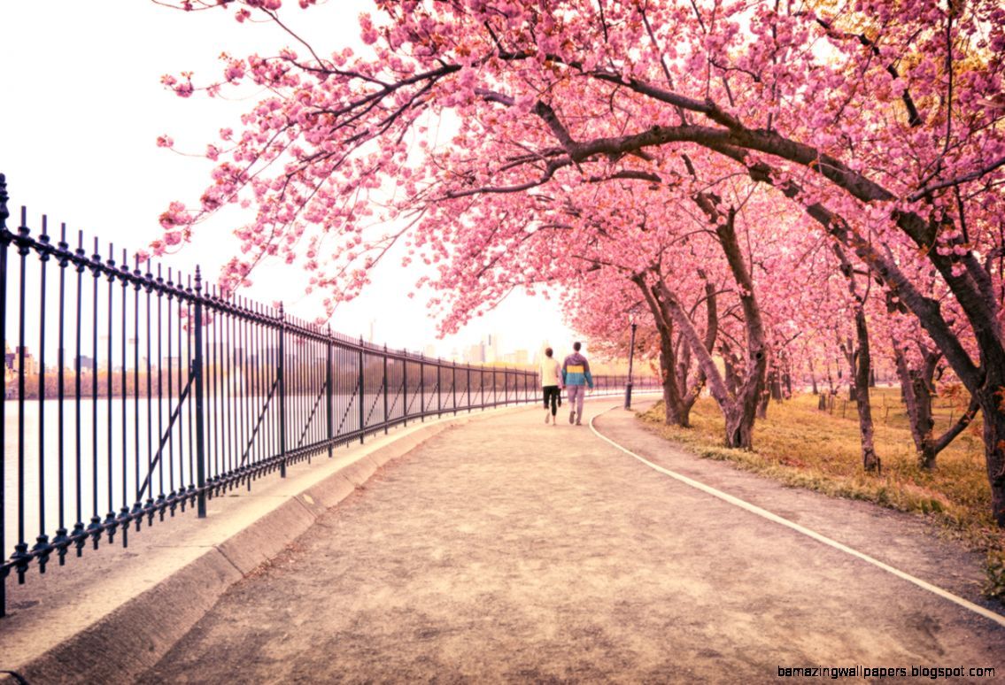 New York Spring Wallpapers Wallpaper Cave