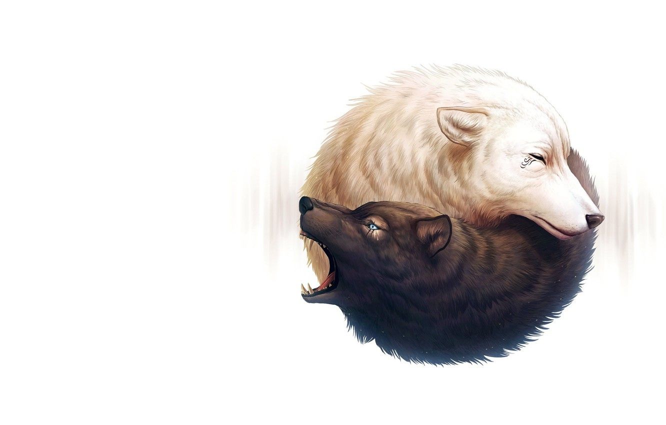 Yin And Yang Wolves Wallpapers Wallpaper Cave